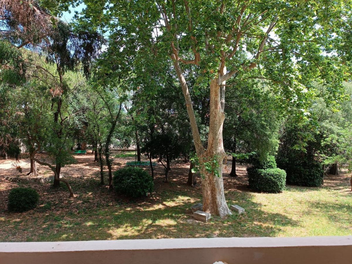 Chez Isa Διαμέρισμα Τουλόν Εξωτερικό φωτογραφία