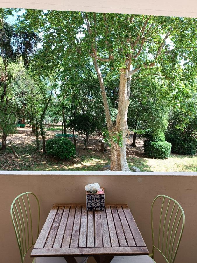 Chez Isa Διαμέρισμα Τουλόν Εξωτερικό φωτογραφία